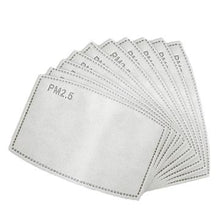 Load image into Gallery viewer, PM2.5 Filter - 100 Pack